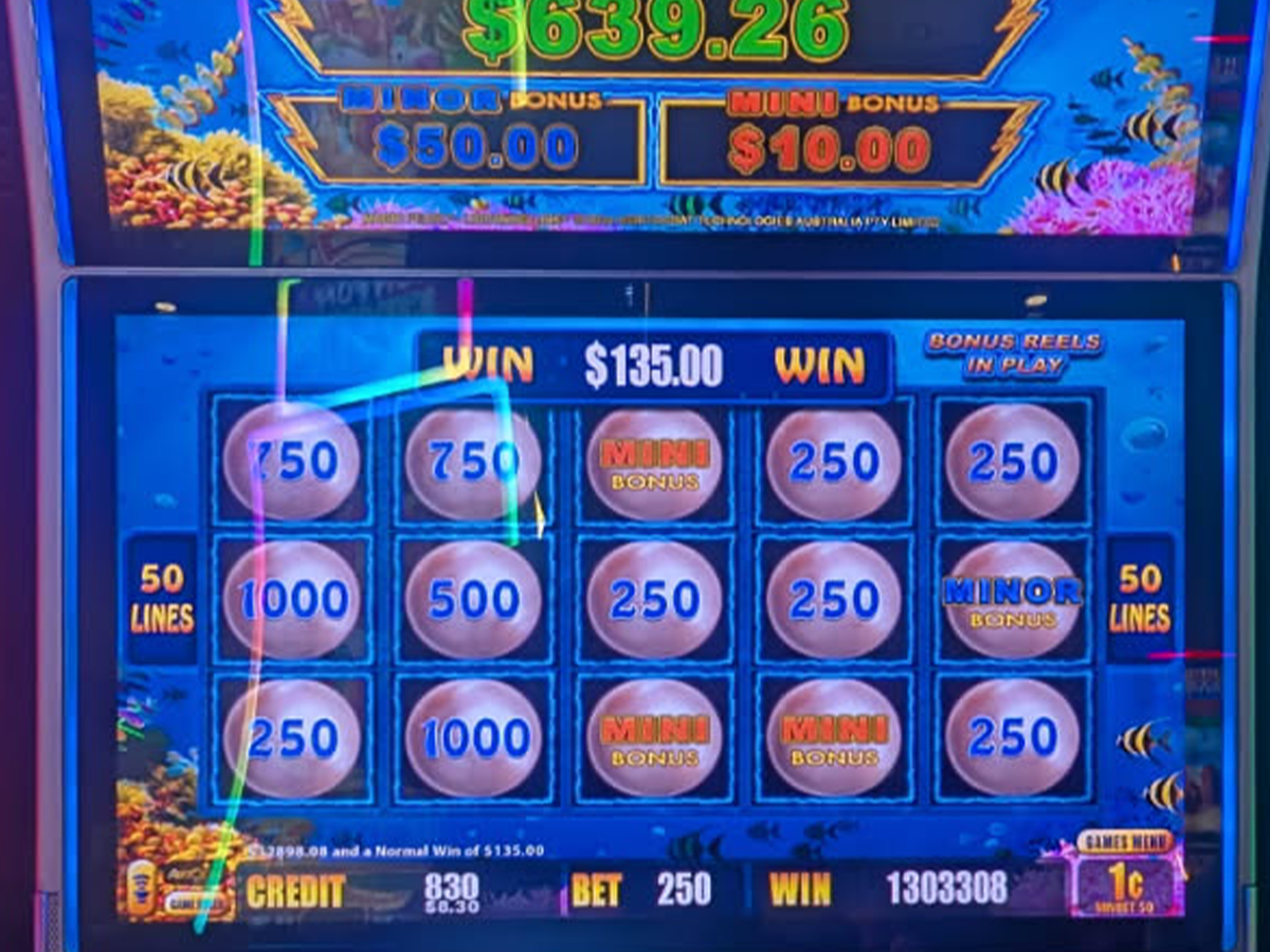 $13,033 | Mahnomen